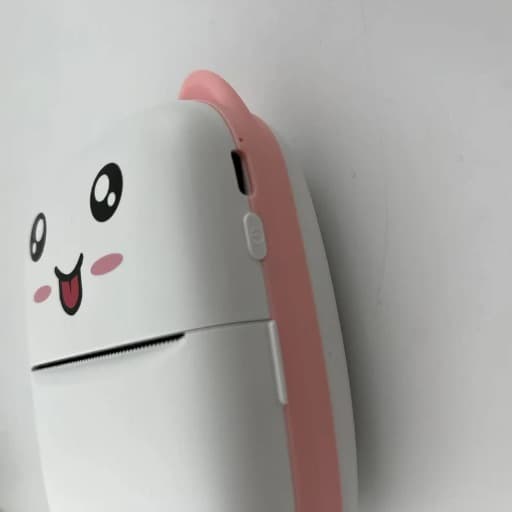 3006
